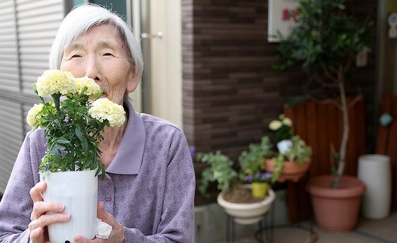 お花の植え替え