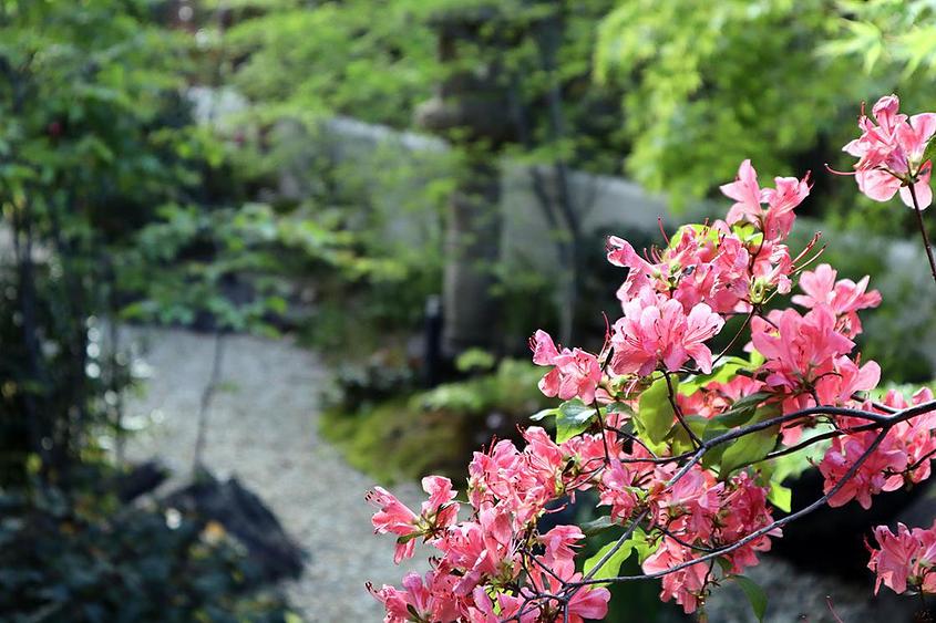 1F日本庭園