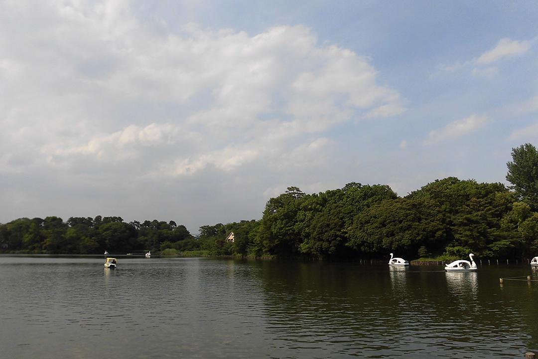 洗足池公園