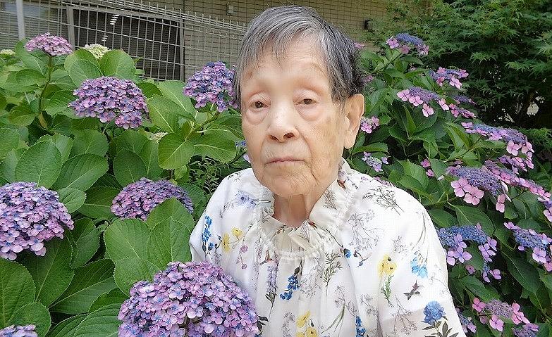 アジサイを楽しむ中庭のお散歩