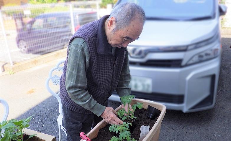 夏野菜の植えつけ～これは大きくなるぞ～