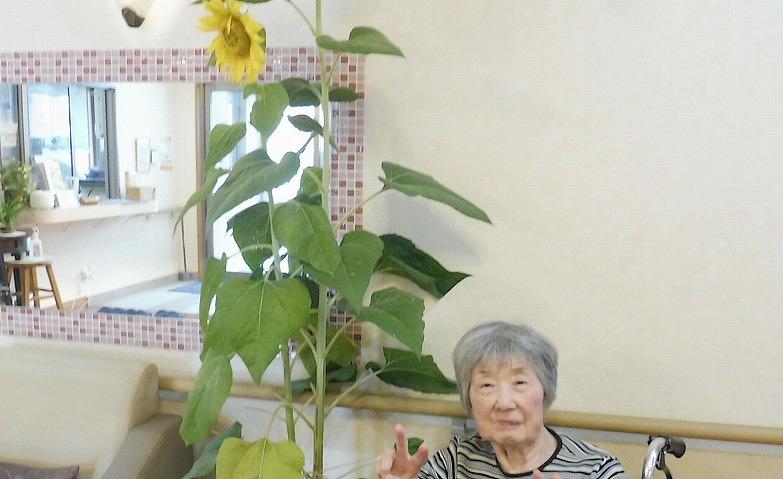 ヒマワリの前でピース