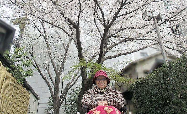 桜の季節は気持ちも明るく！