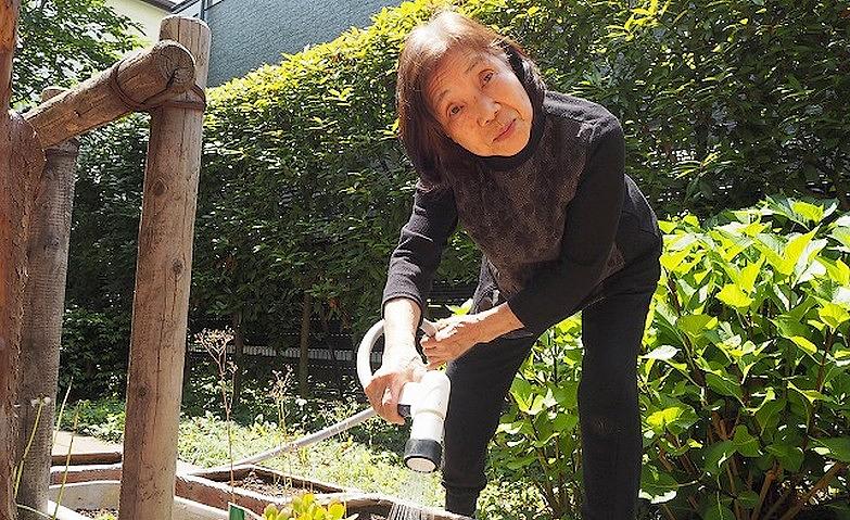 種植えと水やりで開花をたのしみに			