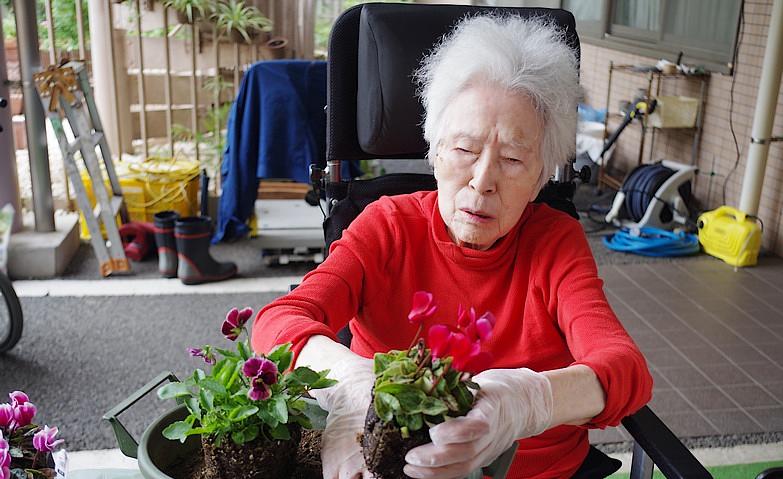 お花の植え替え