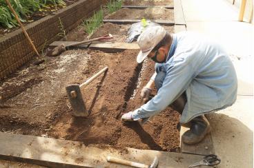 上野毛ファームは忙しい！茄子の植え付け画像4