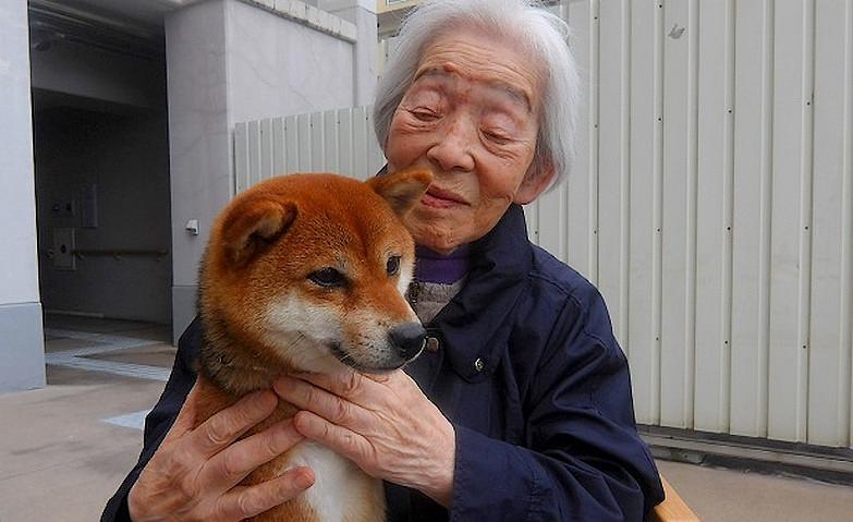犬とふれあう癒しの時間