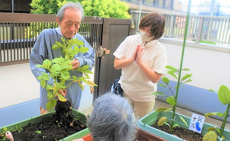 菜園の収穫、がんばるぞ！