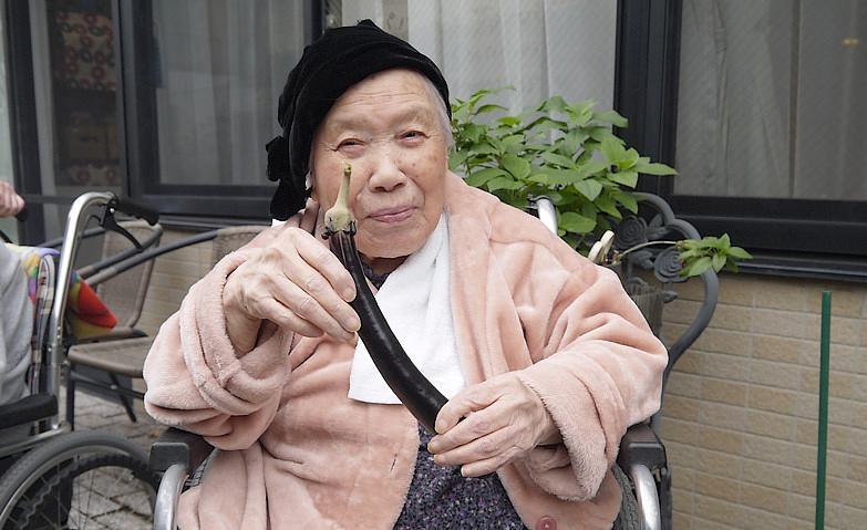 ながーいなすを収穫！