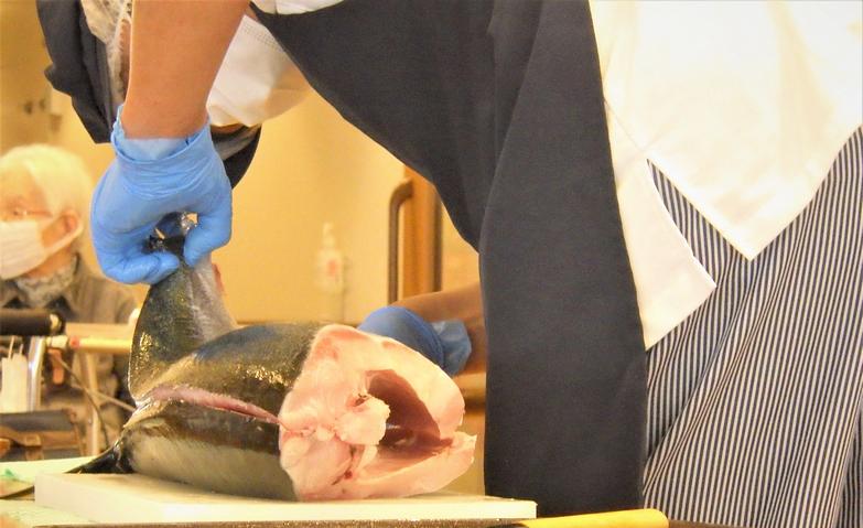 ブリの解体ショー！