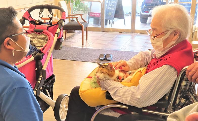 飼い猫との思い出