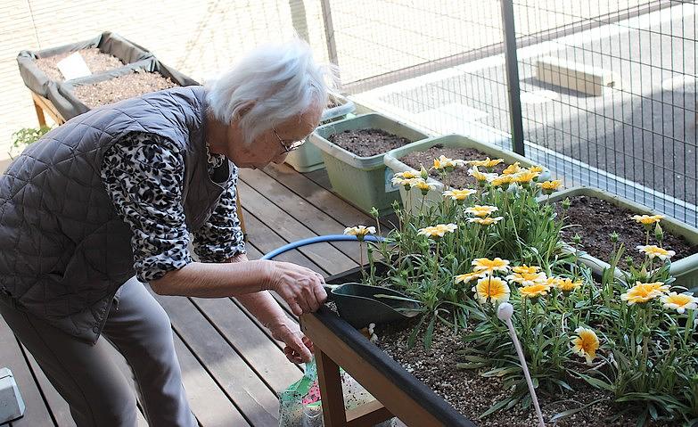 花のお手入れをしましょう！		