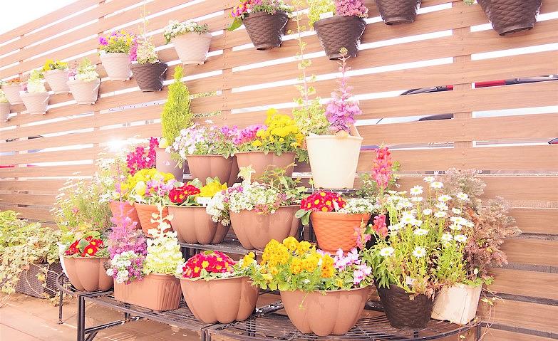 ホームを彩る季節の花々