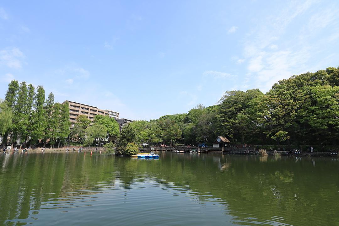 板橋区立見次公園