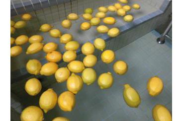 檸檬風呂！画像2
