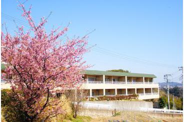 「グランダ鎌倉山」と河津桜