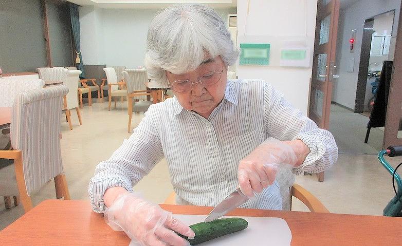 初夏の喜び、キュウリの初収穫