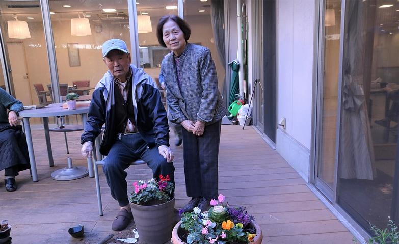 お正月に向けた寄せ植え