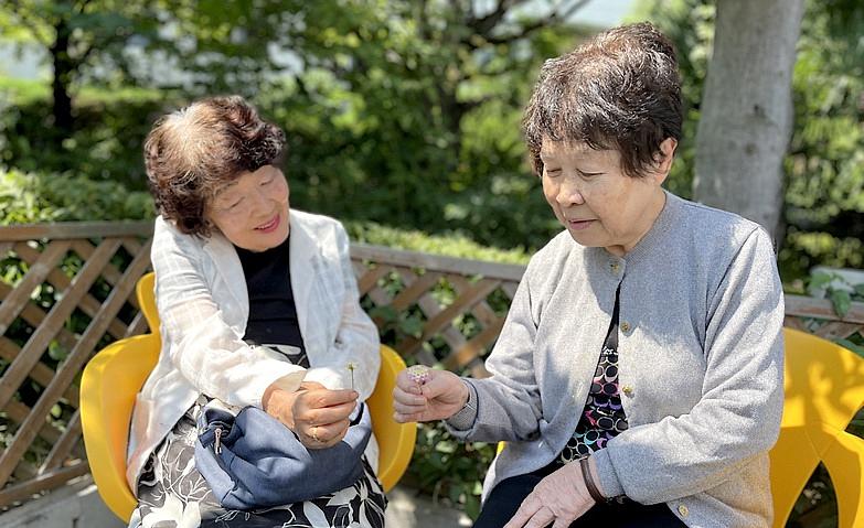 お庭で小さなお花を見つけました