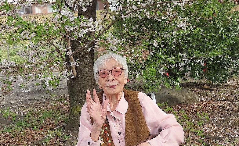 花見日和			