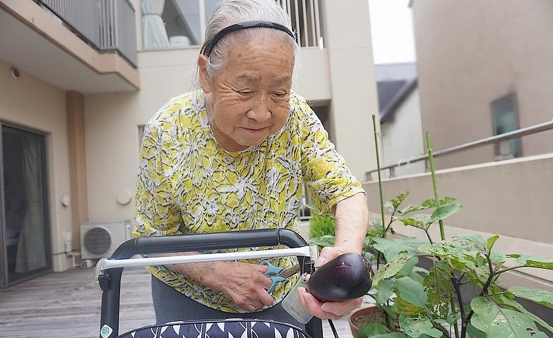 「思ったより大きくなったね」			