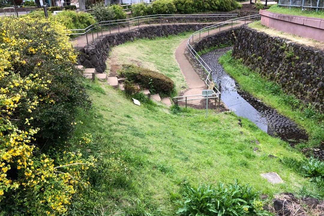 水源の森・あけぼのふれあい公園