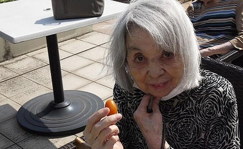 野菜収穫しました！