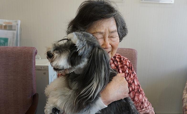 笑顔が広がる、犬とのふれあいの時間