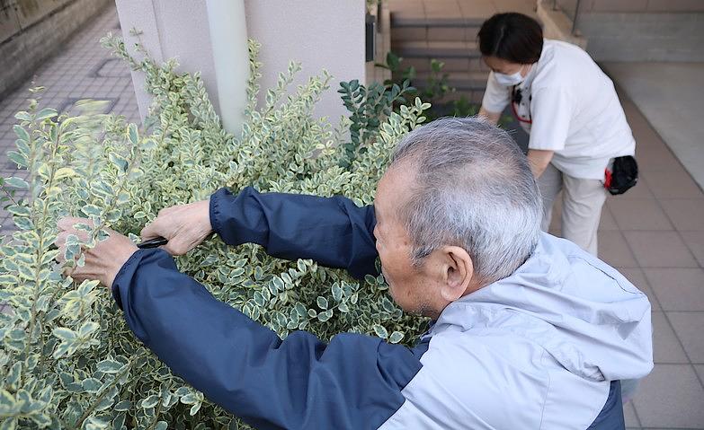 玄関の植物たちをお手入れ			