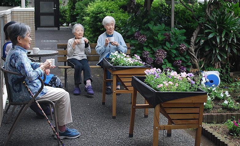 初夏の花々を眺めながらのお茶会
