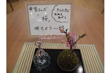 春まぢか
