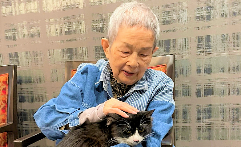 猫ちゃんとの再会