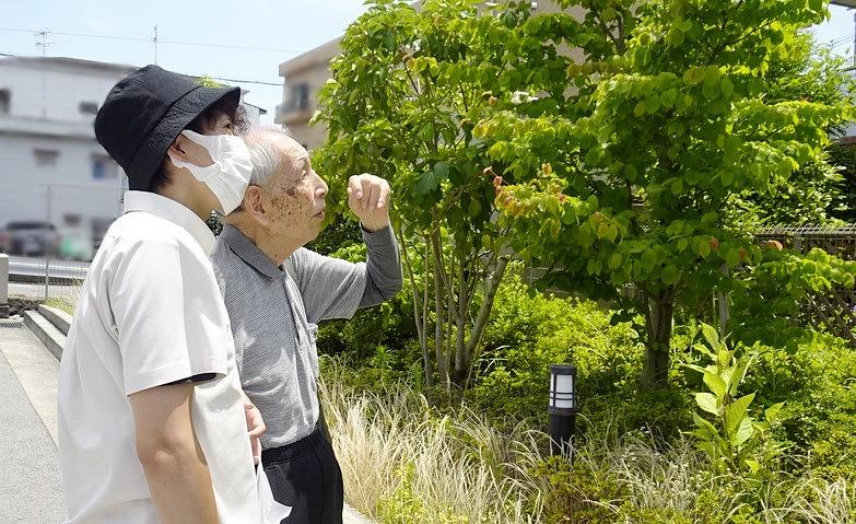 お散歩～季節を感じながら～