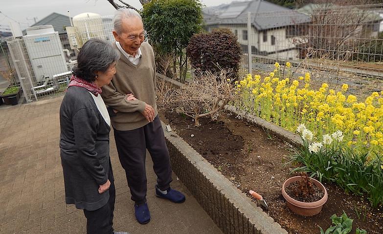 ウッドデッキでお散歩
