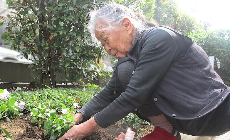 大きく育ちますように！