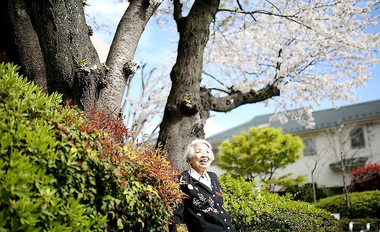 桜の木の下で