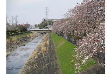 桜の季節をむかえて画像1