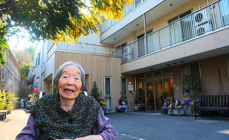 ミモザのお花が満開です！