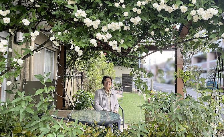 今年もバラが満開です