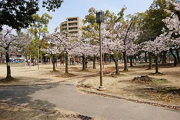 晴明丘中央公園