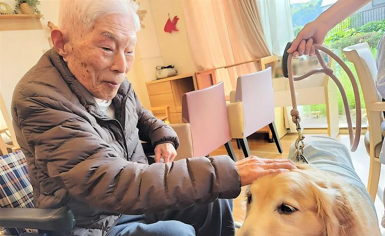ワンちゃんとのふれあい			