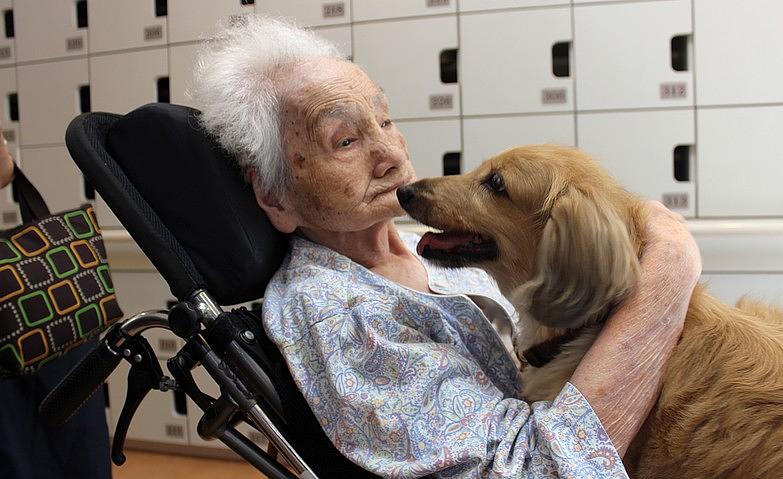 愛犬に会えたよ！		