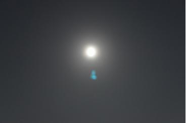 お月見画像2
