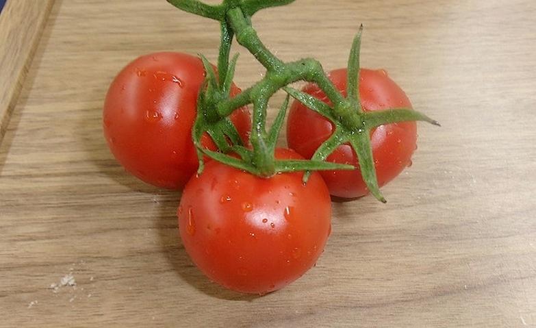 待ちに待ったミニトマトの初収穫