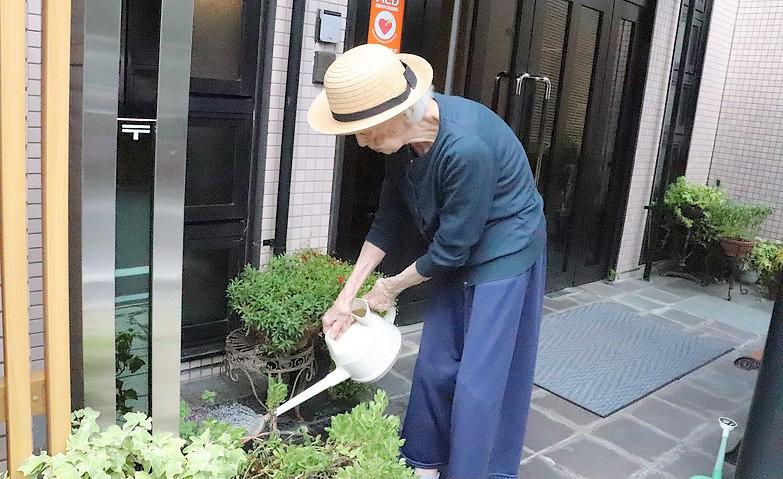 お花の水やり