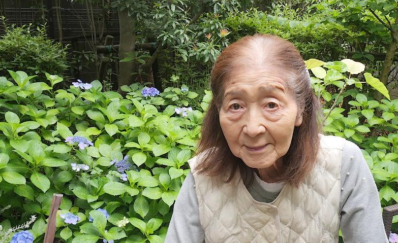 梅雨の庭に咲くアジサイの変化