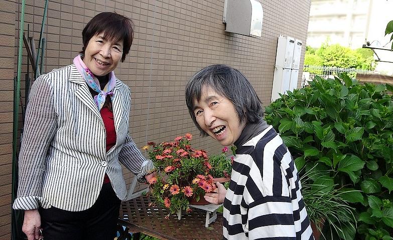 春の陽気に誘われて、庭へのお散歩