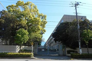 東京成徳大学高等学校