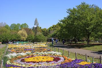 芦花公園