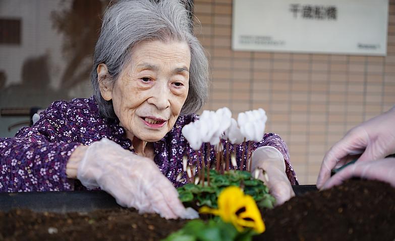 冬のお花に植え替え